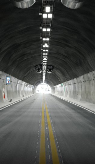 Thorn Tunnel Tile